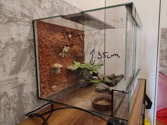 Terarium - 3