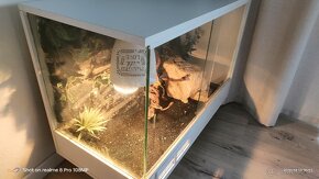 Terarium 80x40x55 - 3