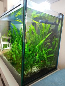 Akvarium 240L  80x50 - výška 60cm - 3