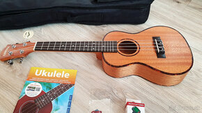 Ukulele Cascha HH 2033 Premium Mahogany Concert - 3