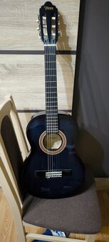 Gitara - 3