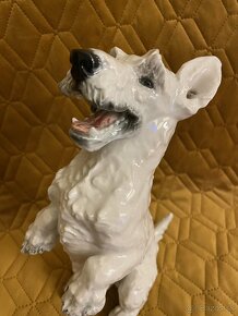 Porcelanovy pes Rosenthal skotsky terier - 3