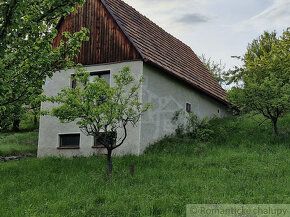 Viničný dom a vinica so vzácnou morušou v Devičanoch - 3