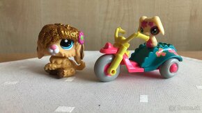 Littlest Pet Shop - 3