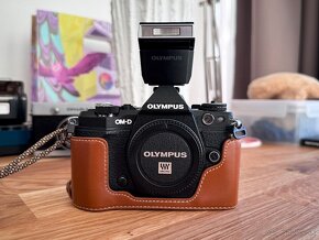 Olympus OMD EM-5 II + M.Zuiko Digital ED 14-150mm - 3