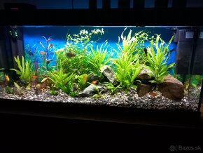 Predam.aquarium 200l - 3