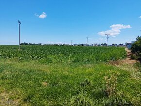 Predaj pozemku v obci Nemčice, okr. Topoľčany - 3