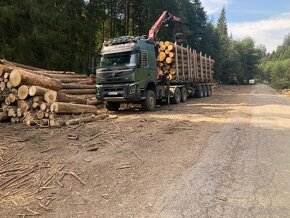 VOLVO FMX 540,LESOVOZ - 3