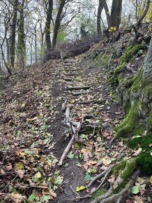 VÝRÁZNÁ ZĽAVA Záhrada s chatou v Rači na Peknej ceste 343 m2 - 3