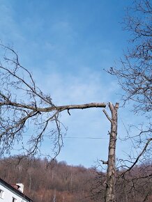 Kosenie a údržba trávnikou.. - 3