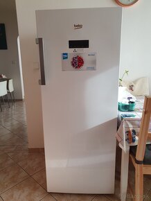 BEKO RFNE270E33WN - 3