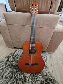 3/4 detská, gitara Salvador Cortez Student CC-10-JR - 3