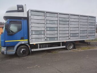 DAF LF 45 (122 kW) preprava poštových holubov - 3