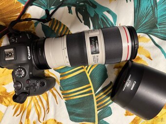 Cannon EOS R6 - 3