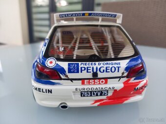 1:18 Rally - 3