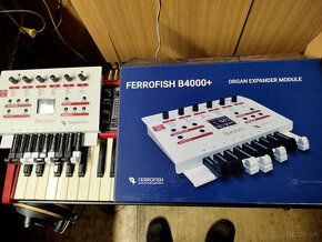 HAMMOND Ferrofish B4000+ - 3