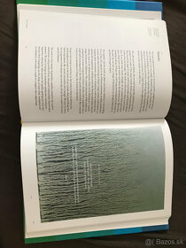 ART as Therapy: Velká kniha interpretácie umeleckých diel - 3