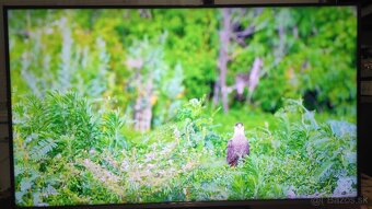 Predám 4KUHD SMART TV Panasonic TX -50LX650E Android(125cm) - 3