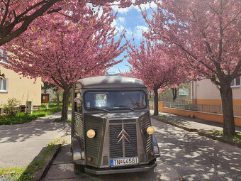 Citroën Type H - FOODTRUCK - 3