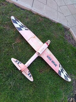 RC Wild Hawk - 3