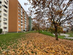 Ponúkame na predaj 3izbový byt s balkónom - 3