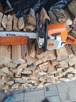 Stihl MS290 - 3