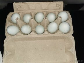 Domáce vajíčka BIO - 3