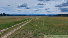 Lesný pozemok 37 000 m2 - 3,7 ha v obci Borský Mikuláš, 60 - 3