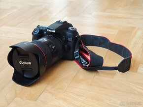 Canon EOS 70D + Canon EF 24-70mm f/2.8L II USM - 3