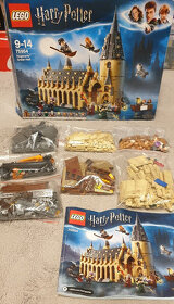 Lego Harry Potter 75954 - 3