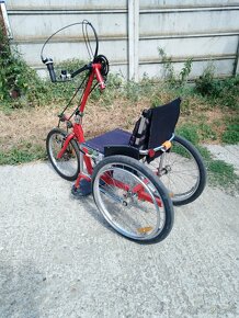 Handbike vozik - 3