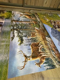 Puzzle Castorland 4000 - 3