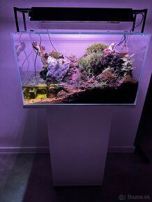 Paludarium - Vivárium -Terarium -Akavarium - 3