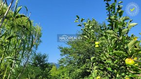 HALO reality - Predaj, rekreačný pozemok Nitra, Investičný p - 3