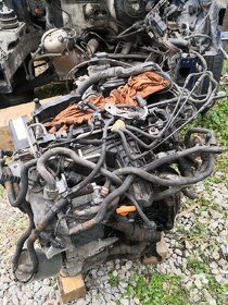 Motor 1,6 TDI - 55kW, CAYA, Škoda, Volkswagen, Seat, - 3