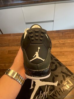 Air Jordan 4 Fear 43 - 3