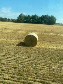 Lucerka a slama na predaj - 3