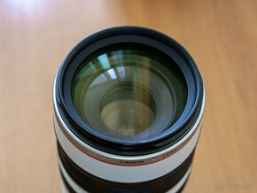 Canon 100-400 f/4.5-5.6 L IS USM - 3