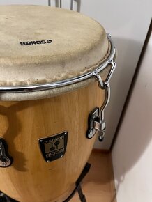 Predám KONGO SONOR - 3