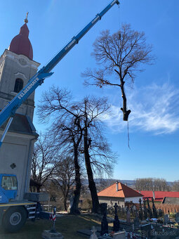 Rizikový výrub a orez stromov - 3