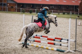 Predam sportovu pony S- do rodiny, hobby - 3