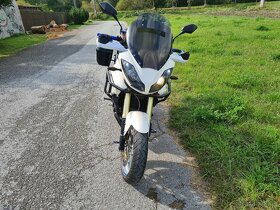 predam Triumph tiger 1050 - 3