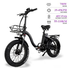 E bike DLY 1000 - 3