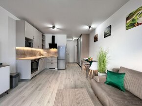 Rental – 1-Bedroom Apartment in a New Building with a Loggia - 3