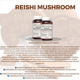 Reishi Farmasi - 3