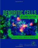 Slovniky + Dendritic cells - 3