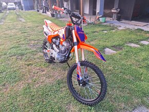 Pitbike UPBEAT 250cc 19/16" E-START - 3