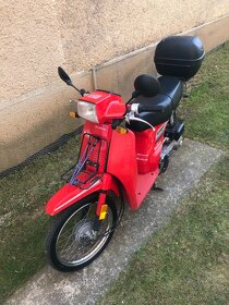 Honda Scoopy - 3