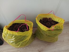 Borovicové šišky - 26 € za 1 vrece (cca 3 kg) - 3