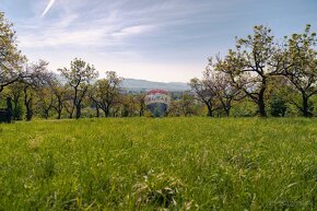 PREDAJ - pozemok (záhrada, ovocný sad), Nové Mesto nad Váhom - 3